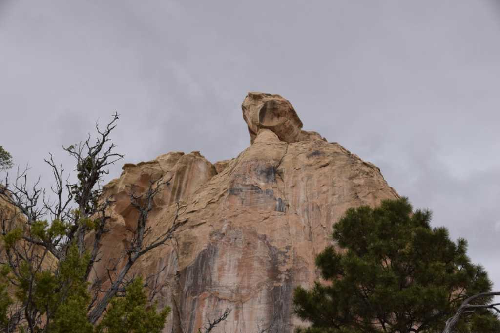 DSC_0700Mittel_.JPG